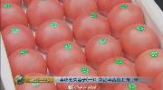 男子卖西红柿在上海买3套房 每年毛利一个亿