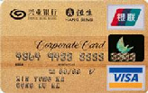 兴业威士标准公务金卡（银联+VISA）