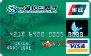 民生标准卡(银联+VISA，人民币+美元，普卡)