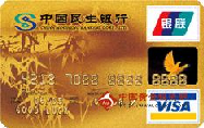 民生标准卡(银联+VISA，人民币+美元，金卡)