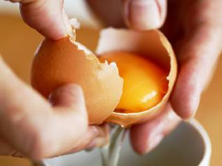 供给收缩仍较缓慢 鸡蛋期价或延续低位震荡