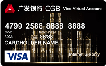 广发环球悦购卡（visa，美元，金卡）