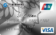 建行龙卡全球支付信用卡VISA/银联双标识标准白金卡