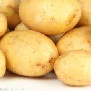 226土豆