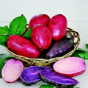 彩色土豆
