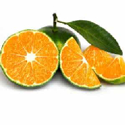 寻乌蜜橘